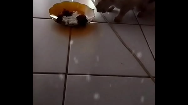 Anita, Bikin Lu Ngiler Sampai Lupa Diri.