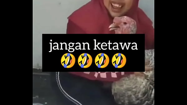 Gadis Montok Ngakak Sambil Ngeloyor Nafsu